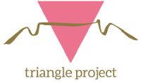 Triangle project 300 wide